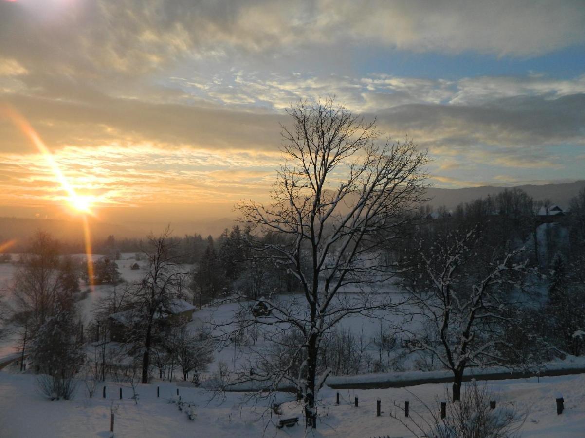 Apartma Biofit Блед Екстер'єр фото